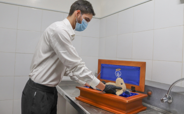 urnas pet memorial
